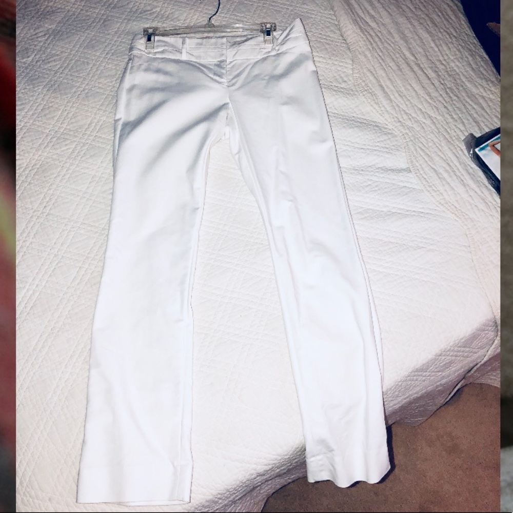 Exact Stretch Editor pants